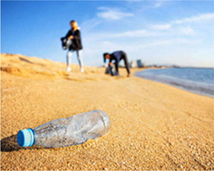 Beach Cleanup